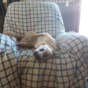 Meet your Posher, Camden